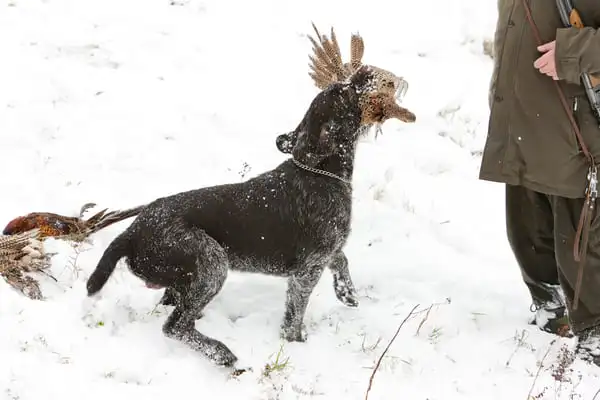 Hubertus Hunting